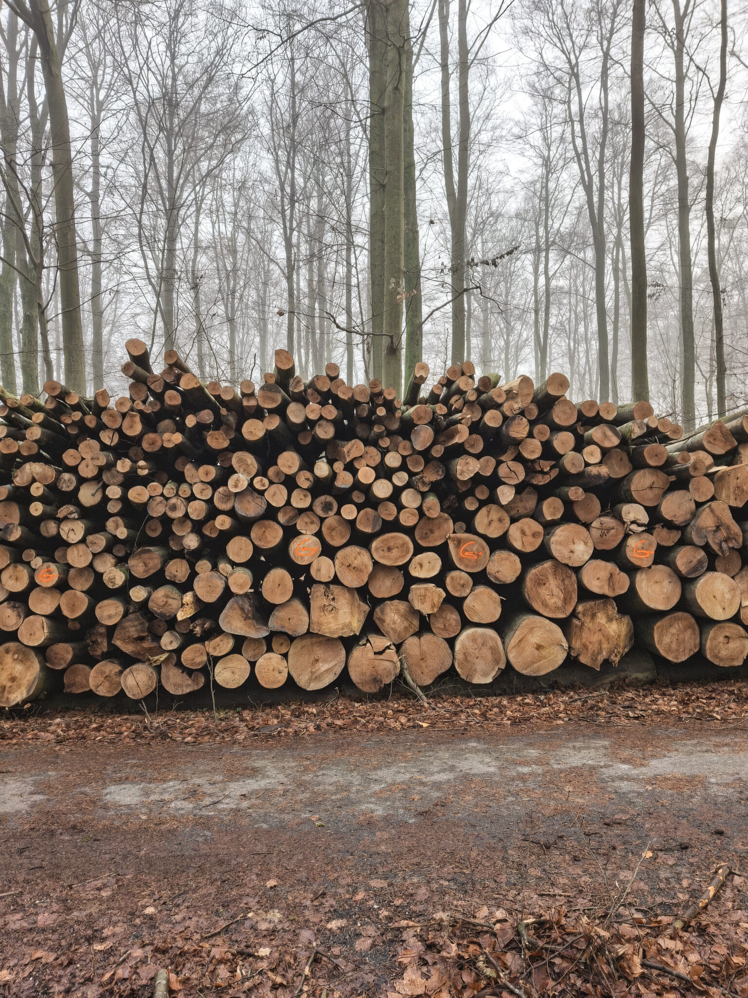 20251214 wa0004 topaz gigapixel 2x schalen 2